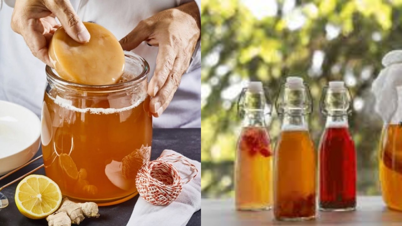 Simak! Manfaat Dari Mengonsumsi Teh Kombucha bagi Kesehatan