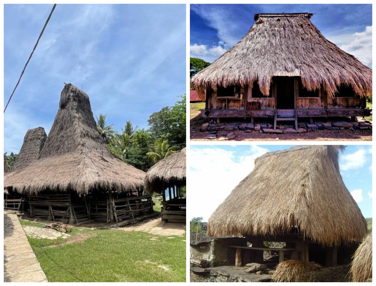 Sejarah Rumah Adat Nusa Tenggara Timur: Rumah Musalaki, Simbol Kepemimpinan dan Warisan Budaya Suku Ende-Lio!