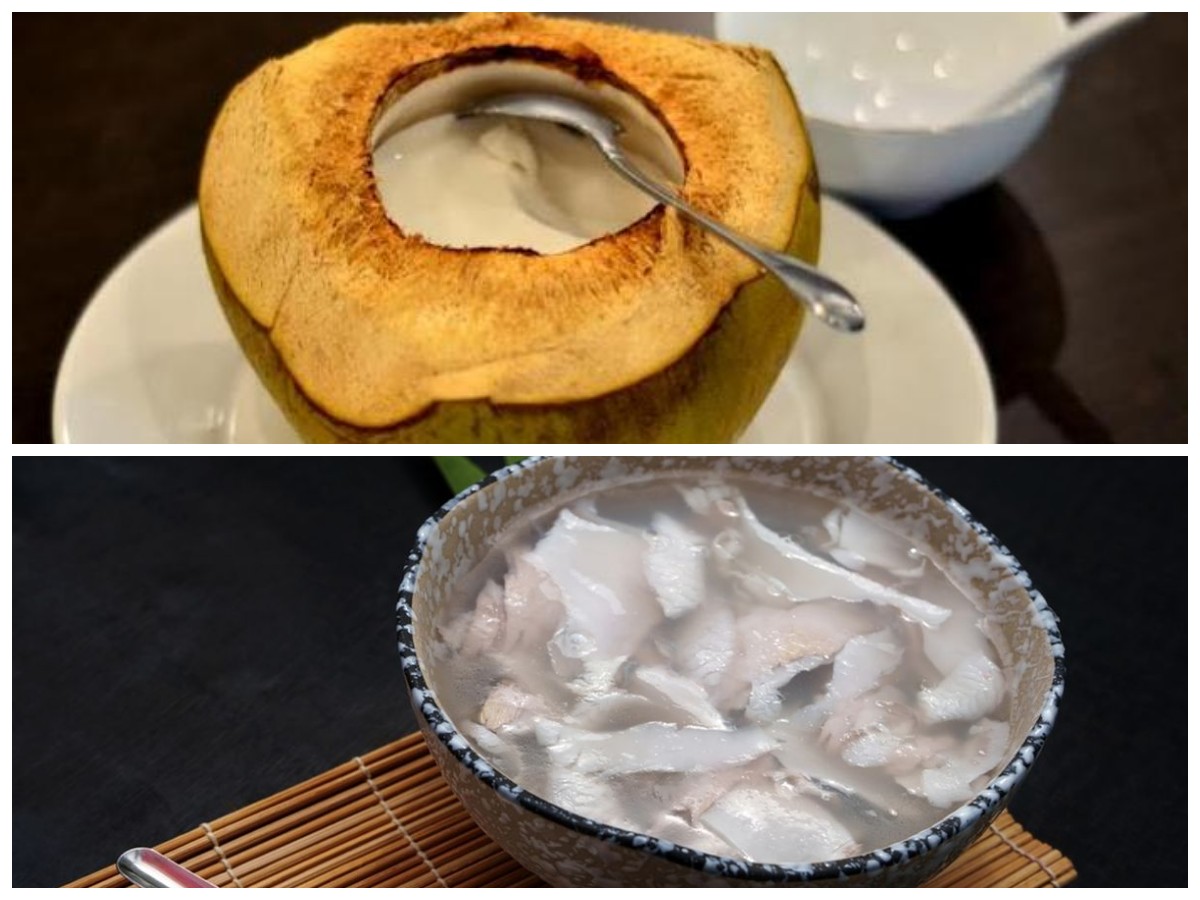 Segarnya Puding Kelapa Muda dalam Batok, Cocok untuk Sajian Spesial!