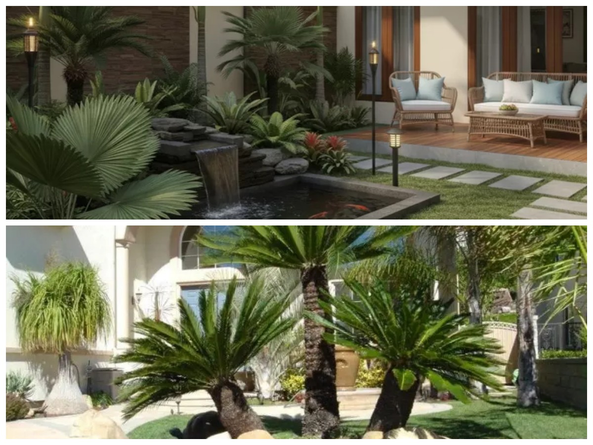 Pilihan Palem Mini untuk Halaman Rumah: Tropis, Cantik, dan Mudah Dirawat