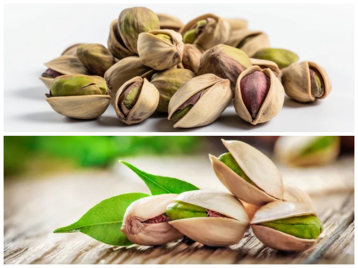 Manfaat Pistachio untuk Tubuh Sehat yang Wajib Kamu Tahu