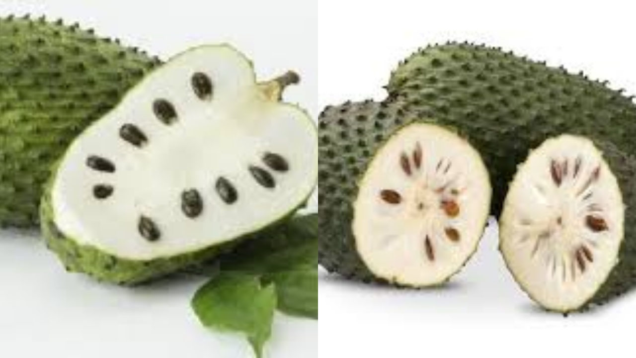 Meningkatkan Sistem Kekebalan Tubuh Inilah Manfaat Buah Sirsak Untuk Kesehatan!