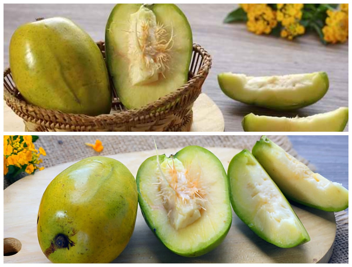 Manfaat Buah Kedondong bagi Kesehatan Tubuh: Rahasia Asam Segar yang Kaya Nutrisi!