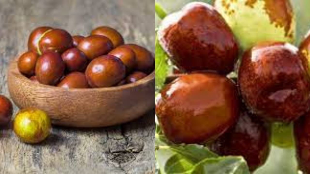 Yuk Ketahui! 7 Manfaat Buah Bidara Untuk Kesehatan Tubuh Yang Luar Biasa 