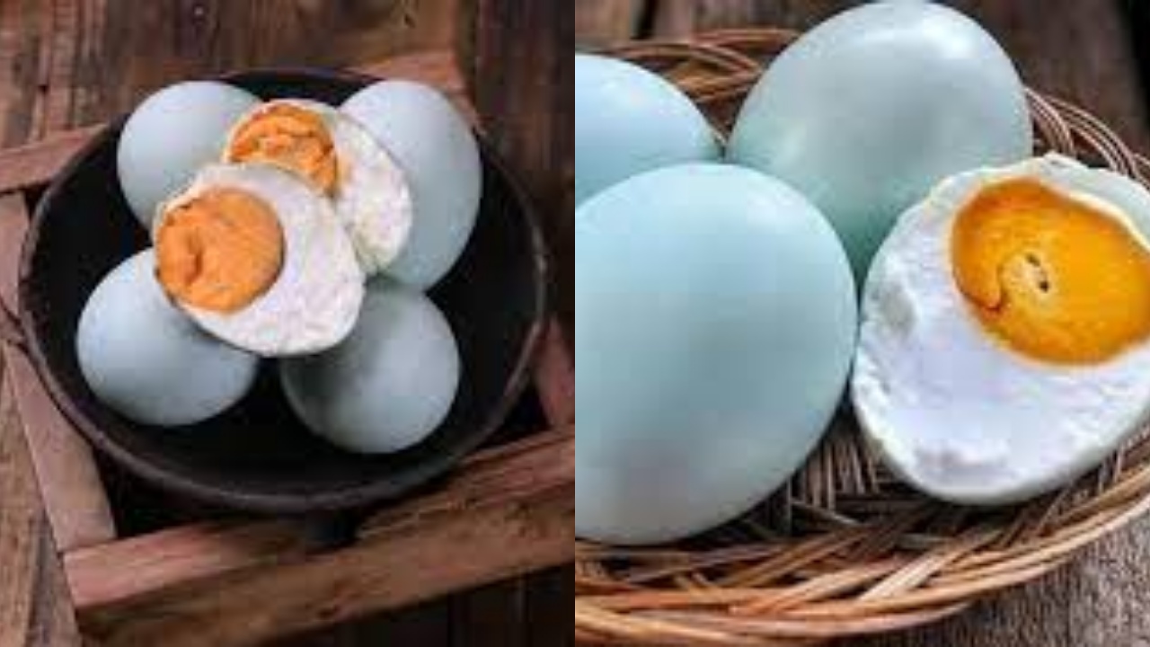 Beragam Manfaat Kuning Telur Bebek Untuk Kesehatan Tubuh Yang Luar Biasa!