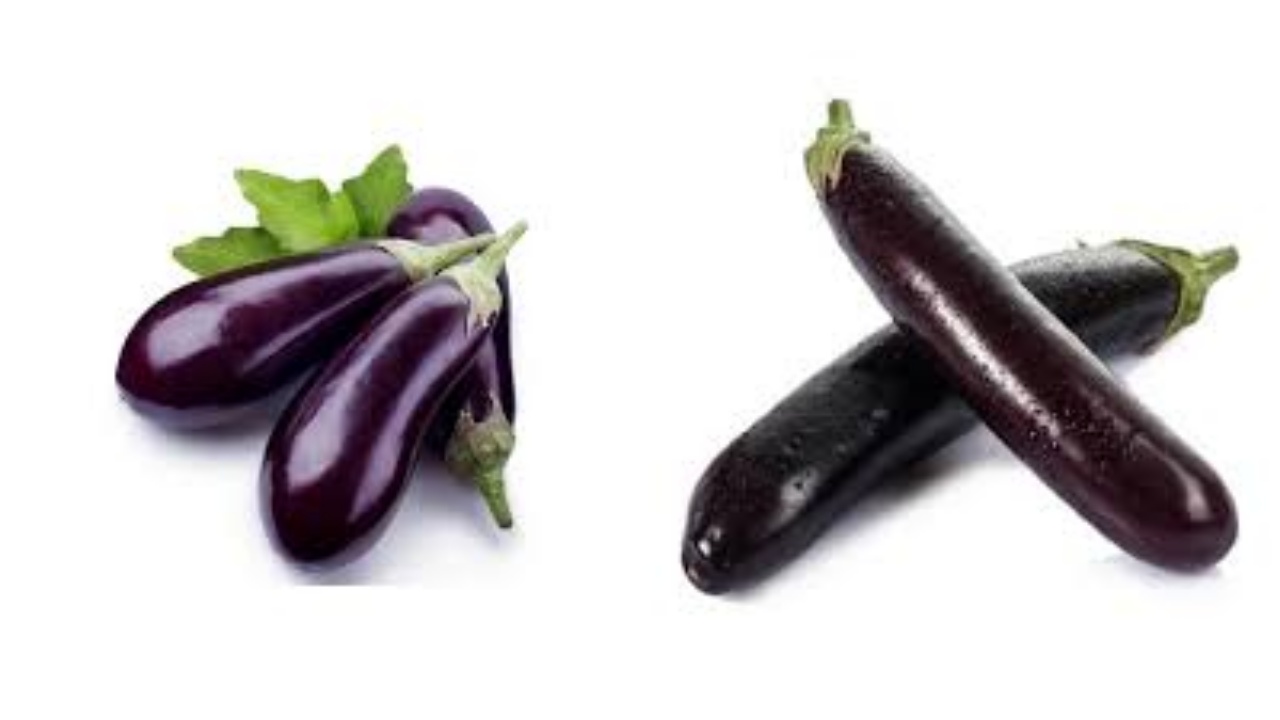 Rahasia Terong: Sayuran Sederhana, Manfaat Besar Untuk Kesehatan Pria