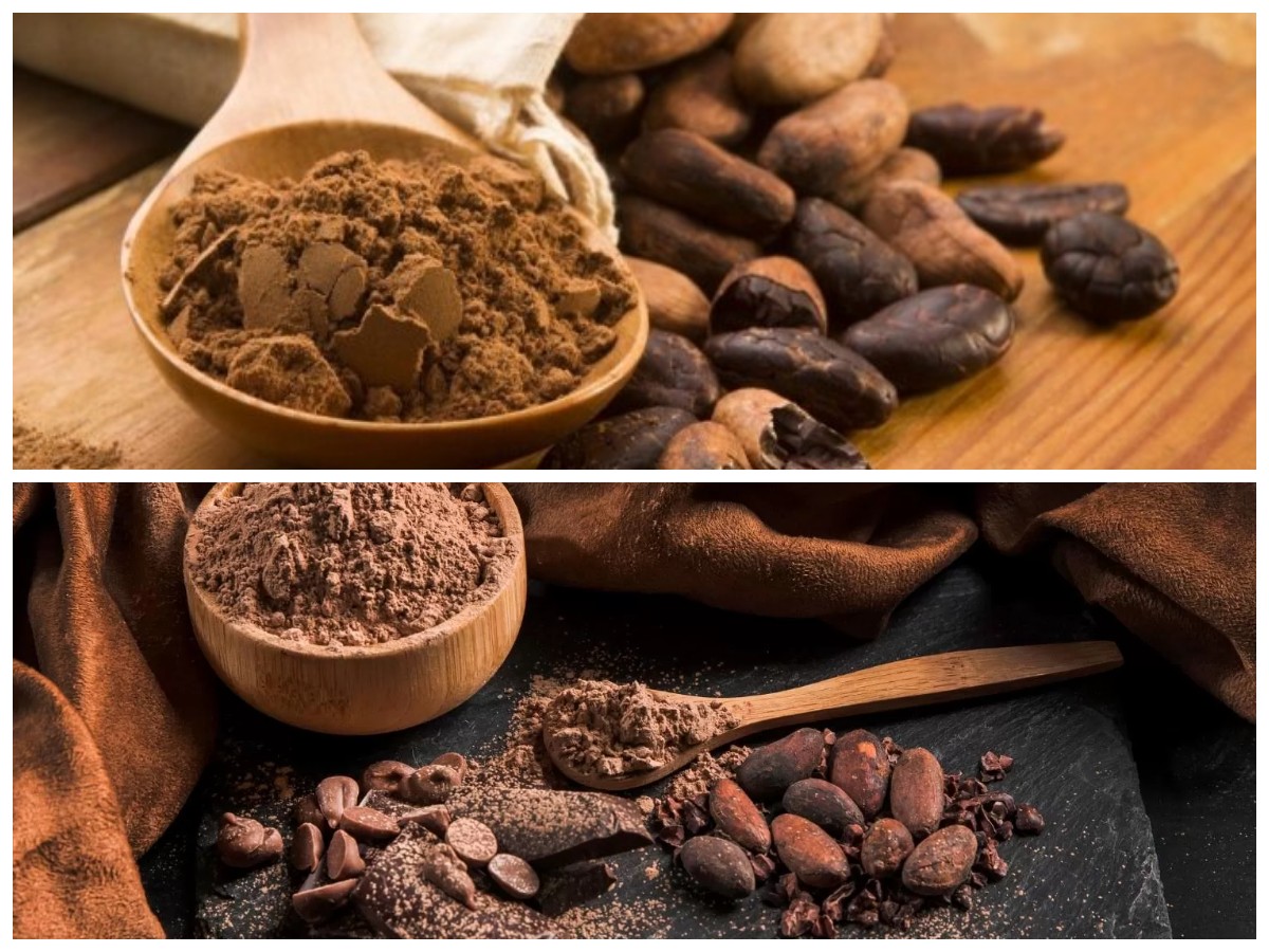 Rahasia Bahagia dari Kakao: Manfaat Alami untuk Menjaga Kesehatan Mental dan Emosional