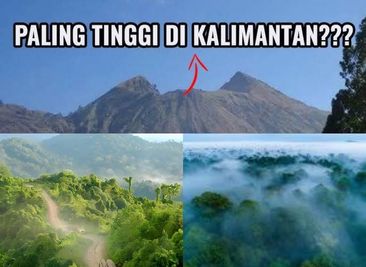 Ternyata Ini yang Spesial dari Gunung Batu Jamak. Pantes Saja Pendaki Merasa Tertantang