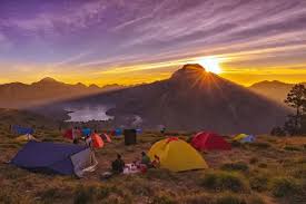 Bikin Penasaran! Ini 4 Hewan Langka Di Gunung Rinjani, Yuk Simak Ini Penjelasanya