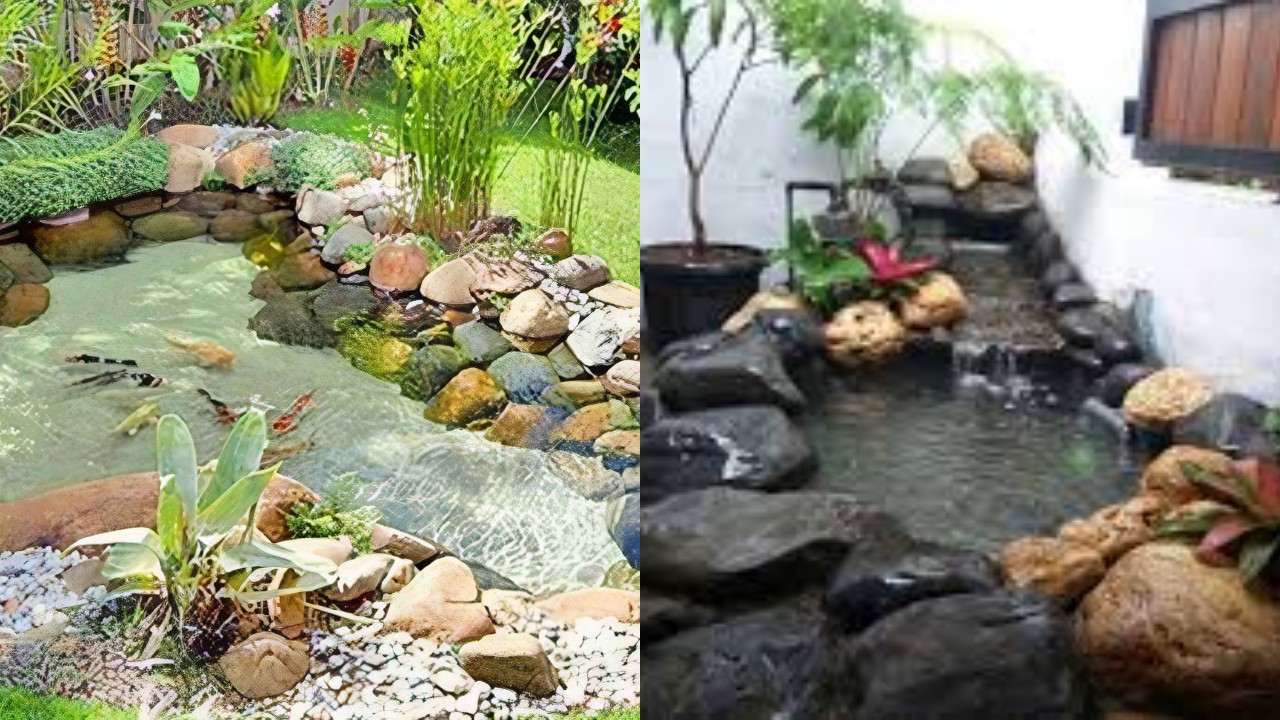 Desain Kolam Ikan Depan Rumah: Sentuhan Estetik dan Natural yang Menenangkan!