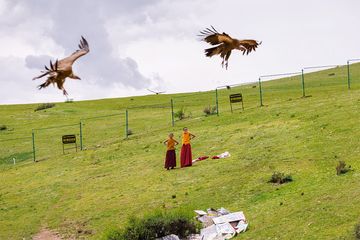 Pemakaman Langit Umat Buddha Jenazah Diumpankan ke Burung