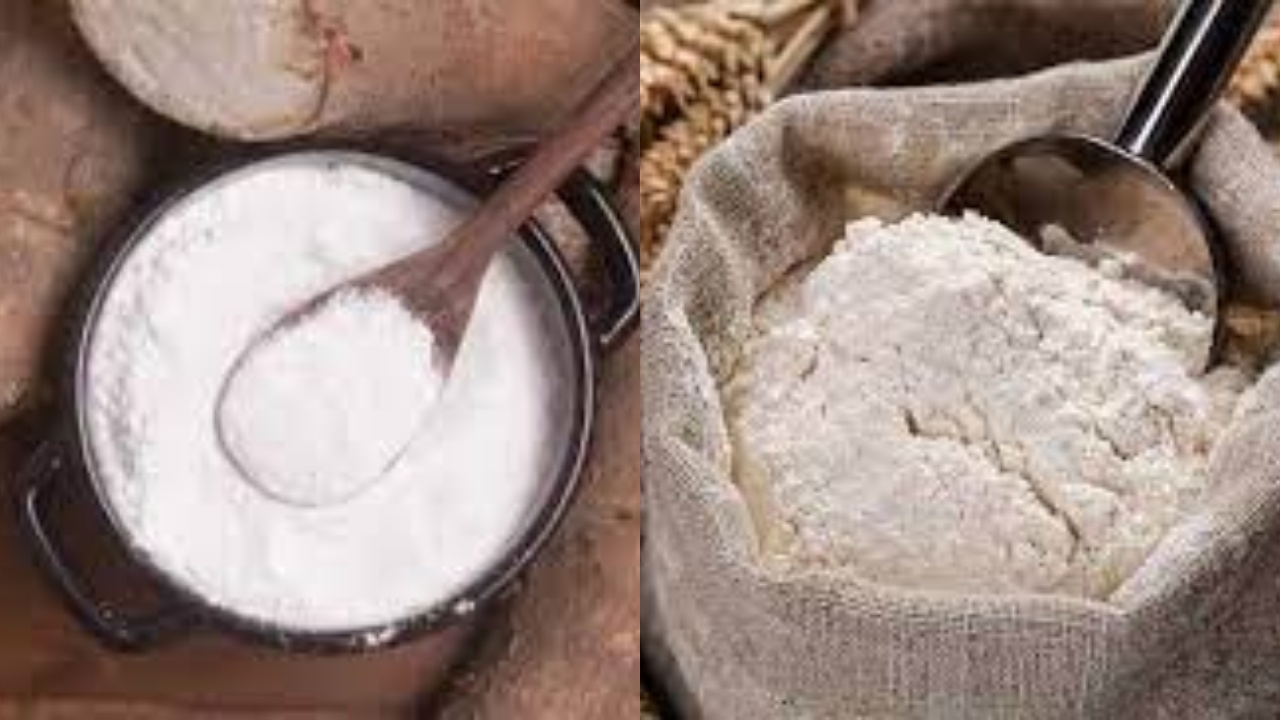 Yuk Kenali 7 Manfaat Sagu Untuk Kesehatan Tubuh Yang Luar Biasa!