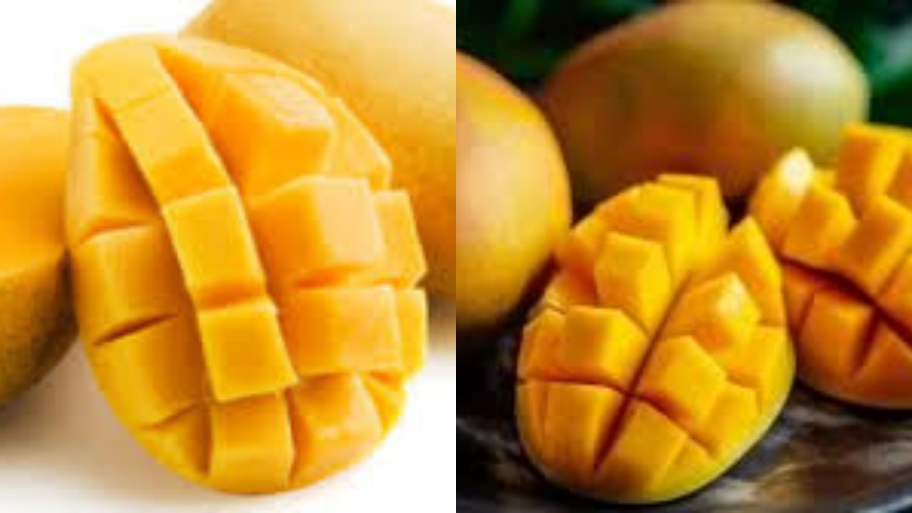 7 Manfaat Buah Mangga untuk Kesehatan dan Ibu Hamil Yang Harus Kalian Tahu!