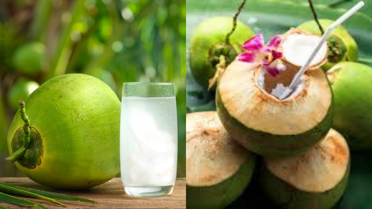 Manfaat Air Kelapa bagi Kesehatan, Minuman Alami yang Menyegarkan