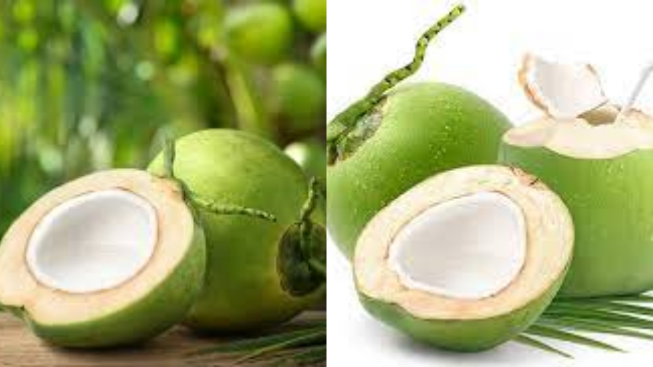 Simak! 8 Manfaat Buah Kelapa Untuk Kesehatan Yang Jarang Diketahui