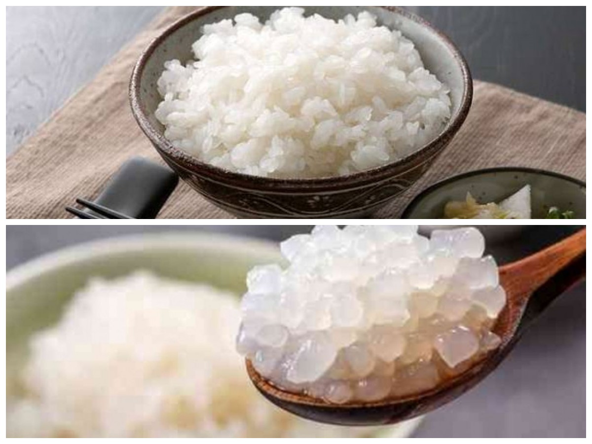 Mau Lebih Sehat? Ini Deretan Manfaat Shirataki sebagai Pengganti Nasi!