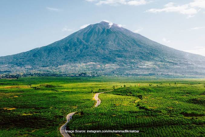 SANGAT LANGKAH, Flora Fauna di Gunung Kerinci yang Indah Namun Langkah!