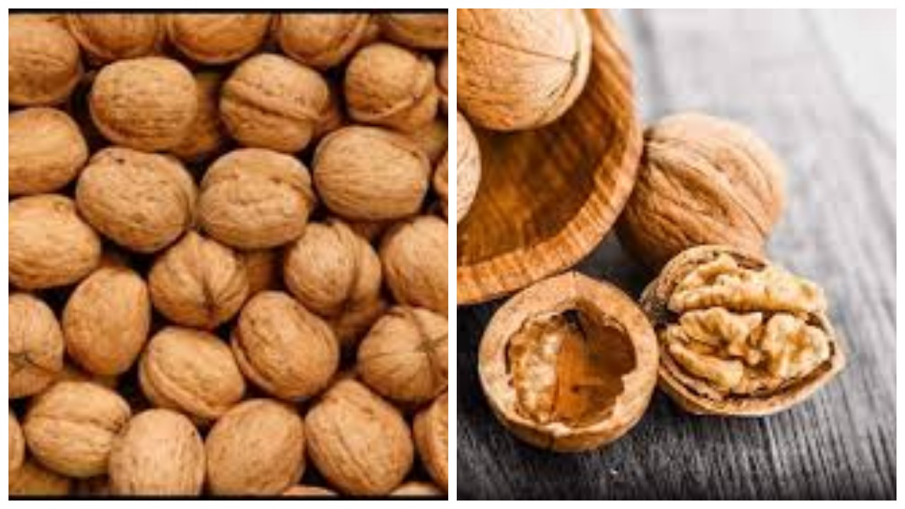 Bantu Jaga Kesehatan Jantung, Ini 5 Manfaat Kacang Kenari