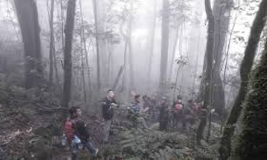 Menelusuri Sejarah Gunung Betung: Antara Mitos dan Realita