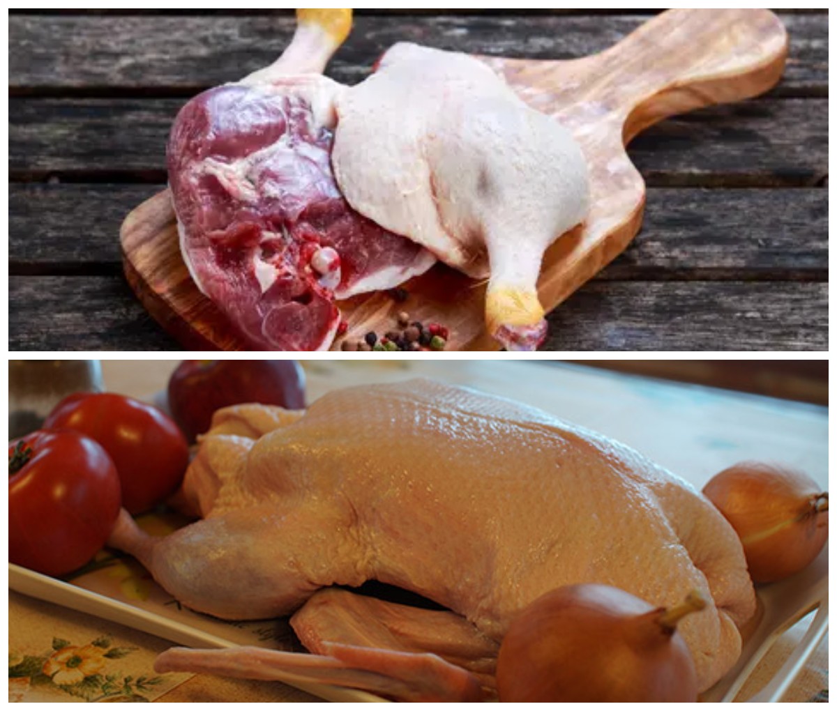 Mengungkap Rahasia Manfaat Ajaib dari Mengkonsumsi Daging Bebek yang Baik untuk Kesehatan 