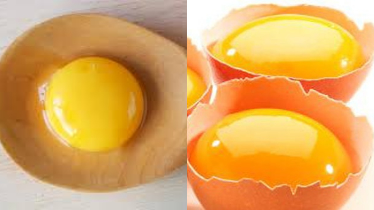 Yuk Intip! Manfaat Kuning Telur Untuk Kesehatan dan Tips Sehat Mengonsumsinya