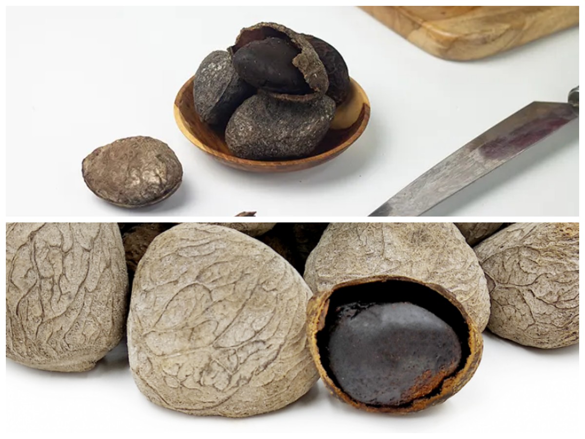 Tak Hanya Cegah Anemia, Ini 5 Khasiat Lain Buah Kluwek untuk Kesehatan