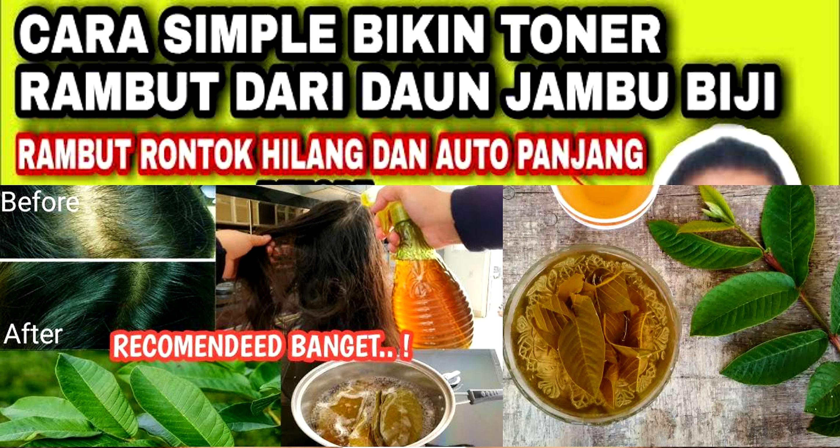 Daun Jambu Biji Untuk Perawatan Rambut Sehat? Begini Cara Memanfaatkannya