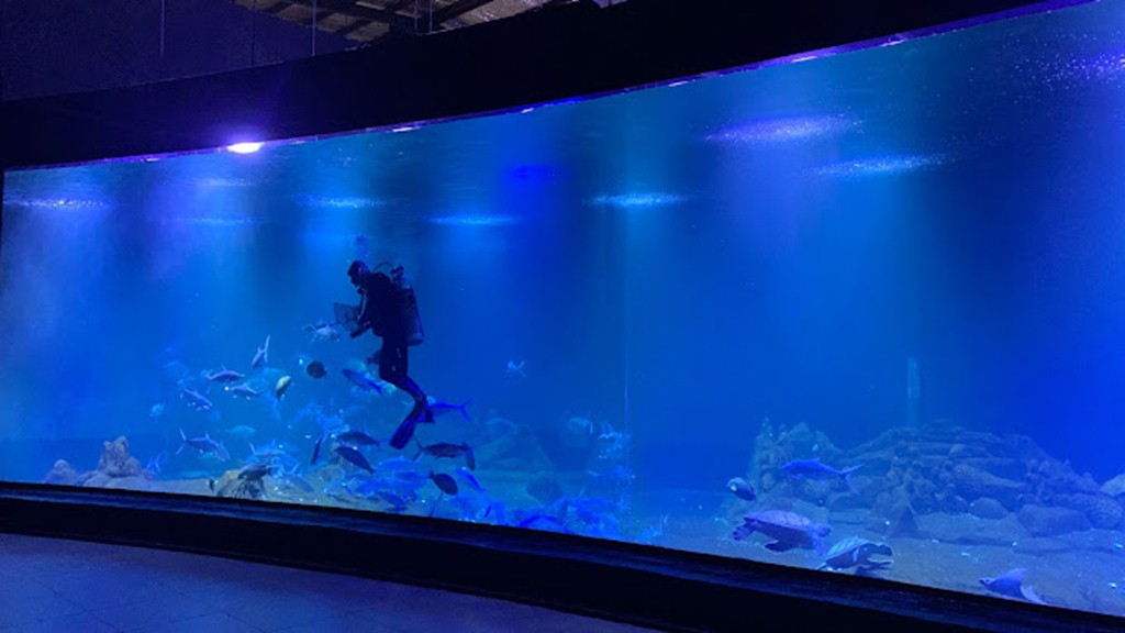 Tak Hanya Soal Pemandangan Alam, Ternyata di Indonesia Terdapat Aquarium Raksasa loh!