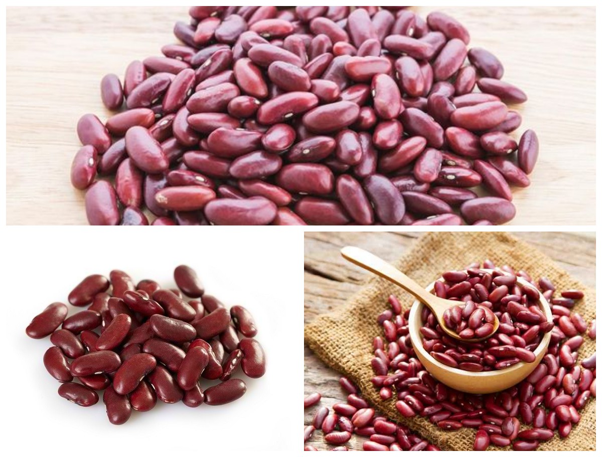 Manfaat Kacang Merah bagi Kesehatan Tubuh: Sumber Protein Nabati yang Kaya Nutrisi dan Baik untuk Jantung