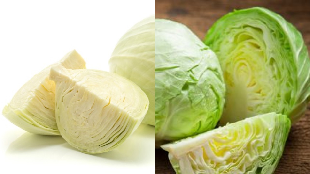 Catat! Inilah Manfaat Sayur Kol, Kandungan Gizi, dan Efek Sampingnya