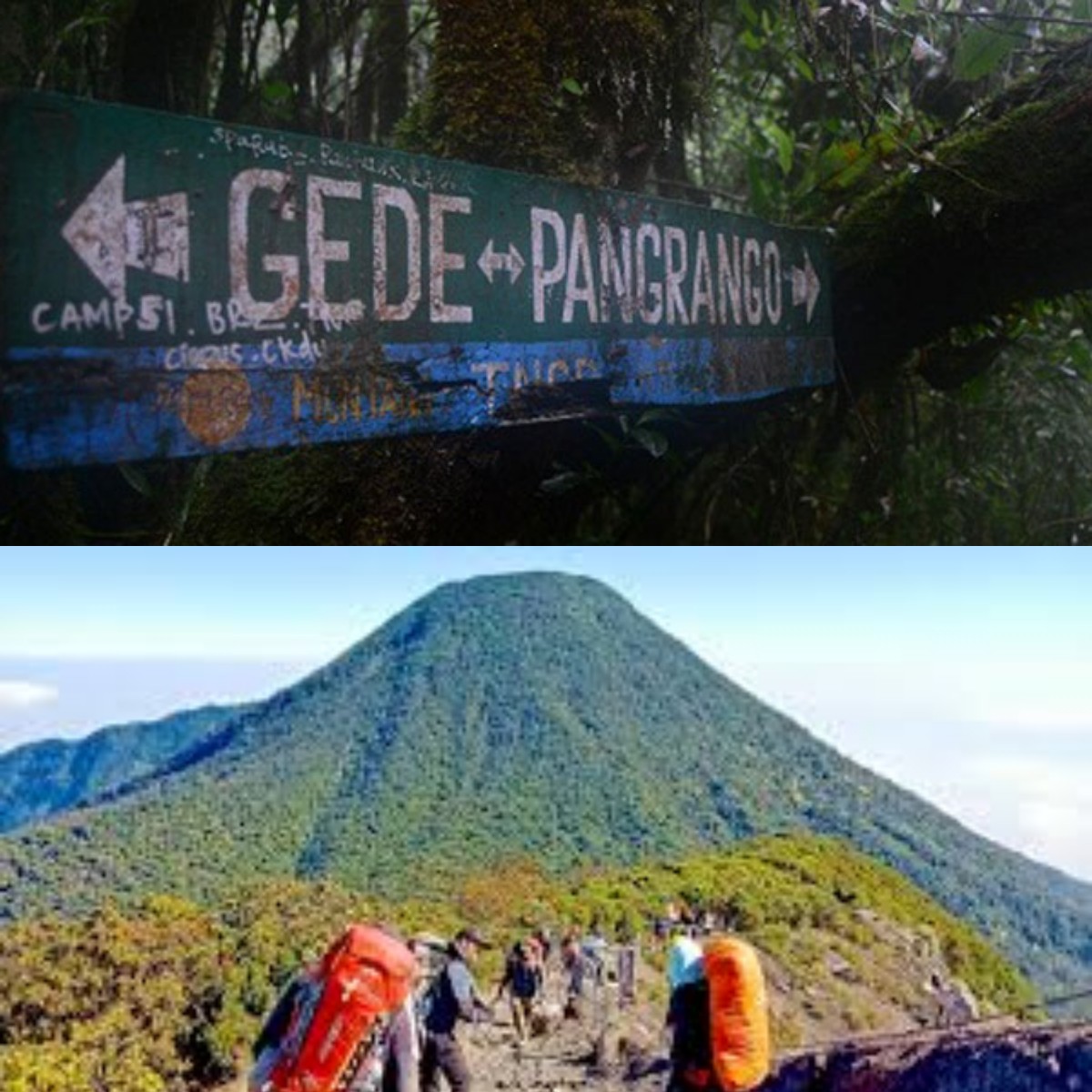 Benarkah Ada Raksasa Hitam di Gunung Gede Pangrango?! Mitos atau Fakta?