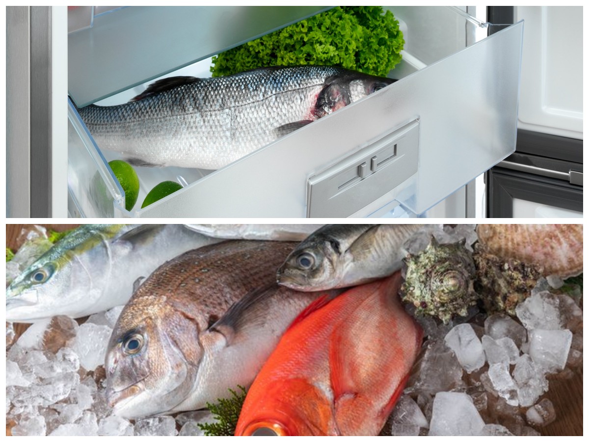 Ikan Tetap Awet Meski Tanpa Freezer, Simak Trik Penyimpanan Saat Listrik Padam