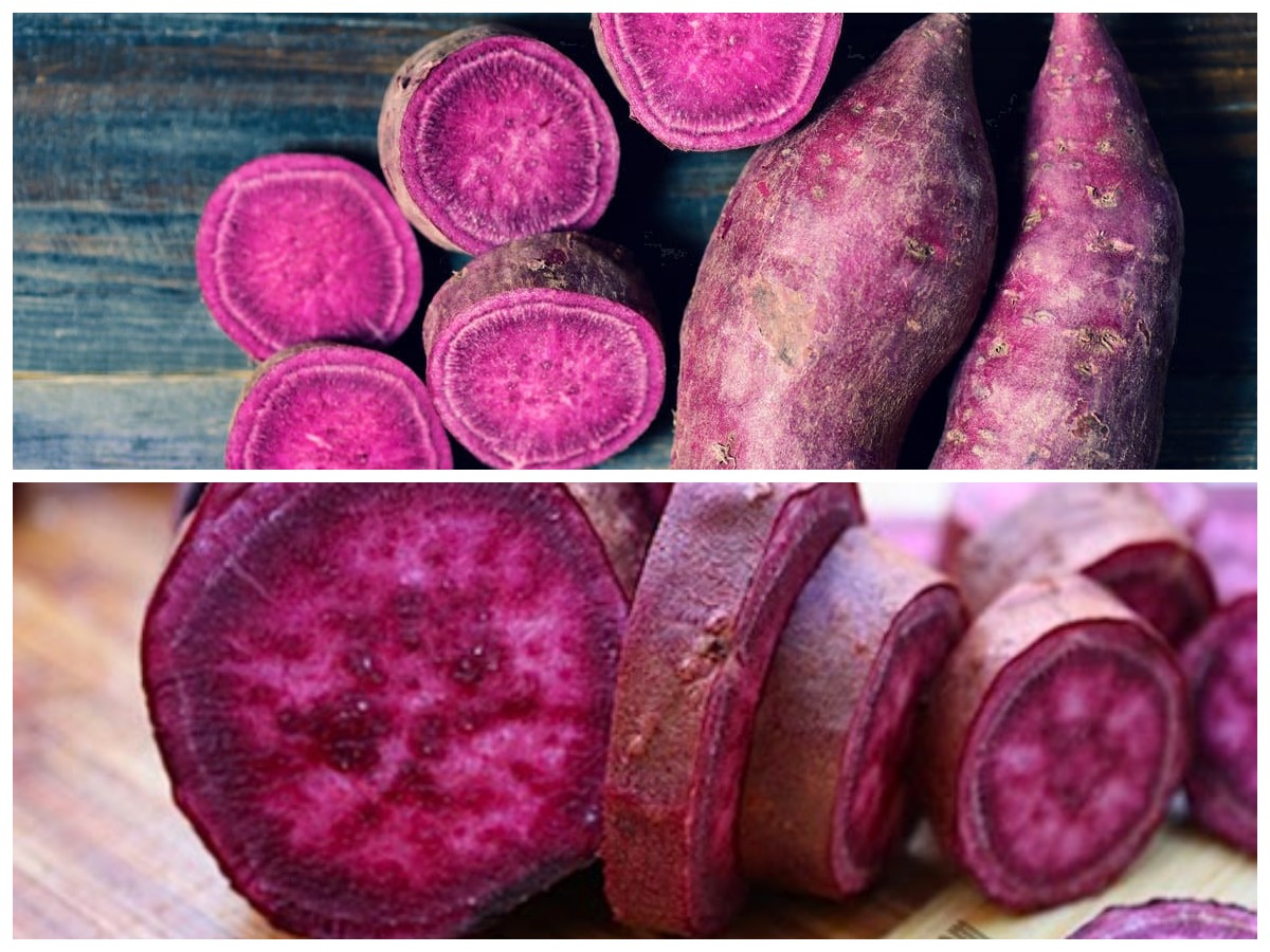 Khasiat Ubi Ungu: Solusi Alami untuk Kesehatan Kulit dan Tubuh