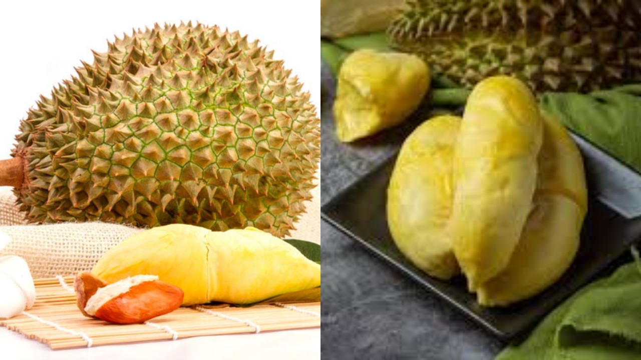  Catat! Inilah Manfaat Biji Durian untuk Tingkatkan Kesuburan Pria