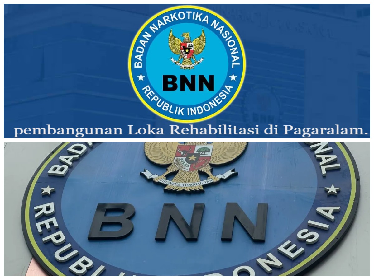 Soal Kesejukan, Pagaralam Miliki Nilai Lebih