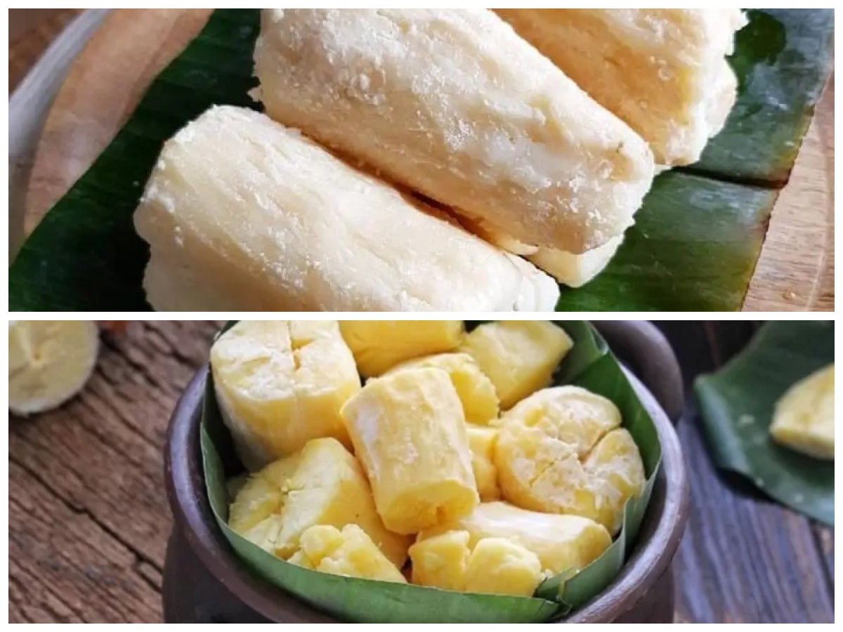 Jarang Diketahui, Ini 7 Manfaat Tape Singkong yang Baik untuk Kesehatan