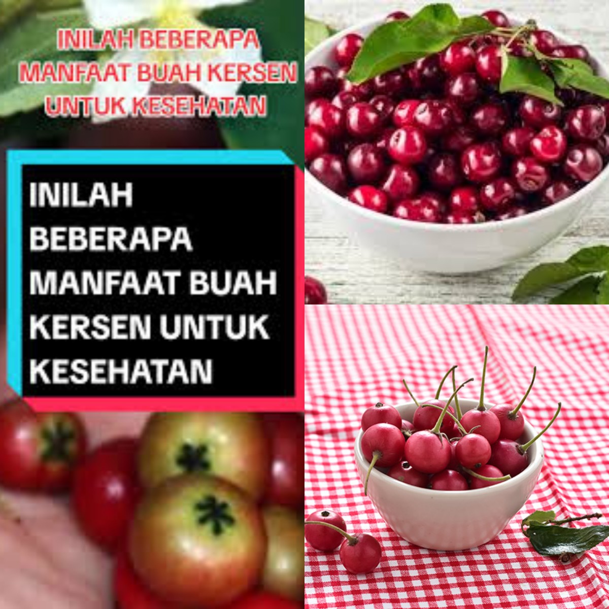 Buah Kersen, Obat Alami yang Jarang Diketahui! Siap Coba?