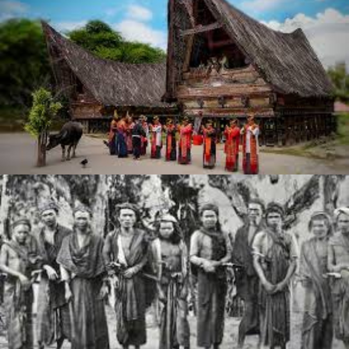 Mengulik Sejarah Hingga Kebudayaan Suku Batak 