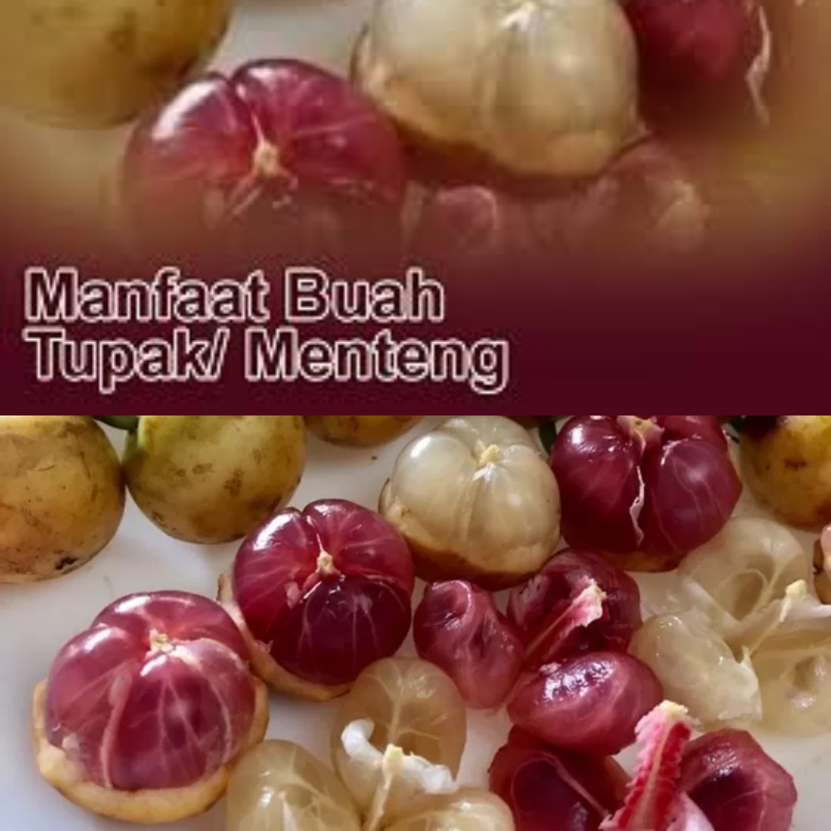 Buah Menteng: Si Kecil yang Kaya Manfaat untuk Kesehatan, Benarkah?