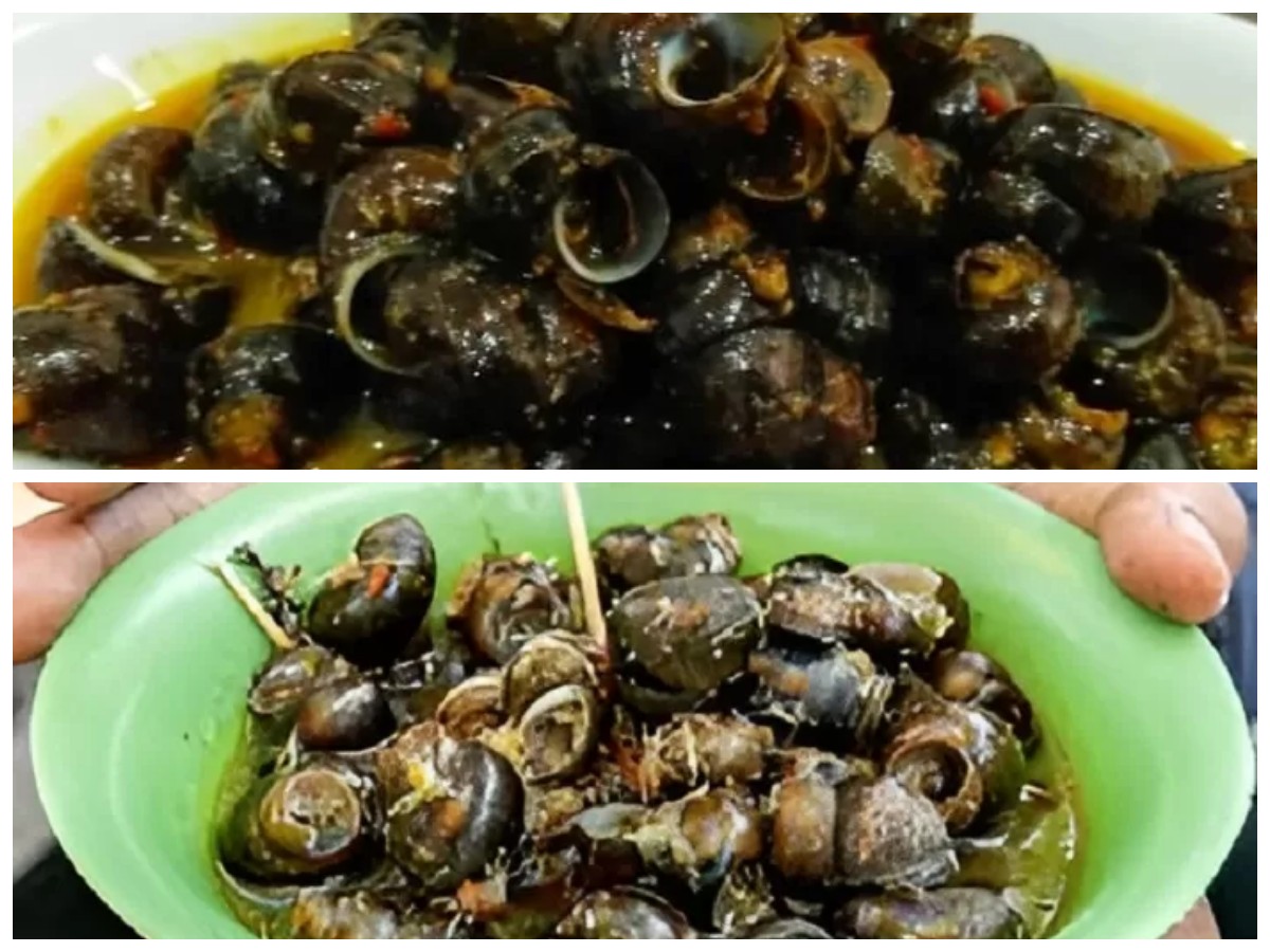 Keong Sawah dan Kesehatan: 5 Manfaat Mengejutkan yang Jarang Diketahui!