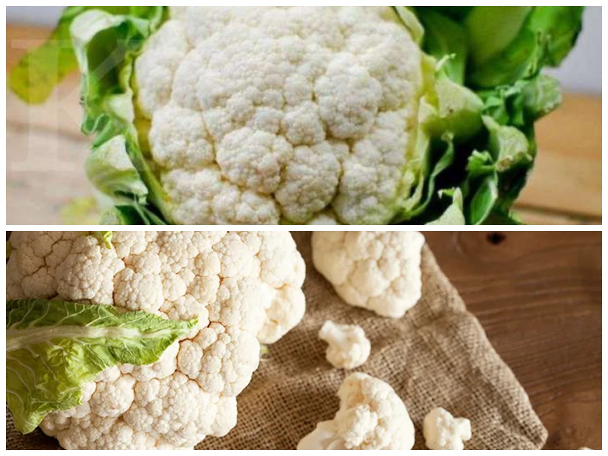 Rahasia Sehat di Balik Kembang Kol: Sayuran Putih dengan Segudang Khasiat!