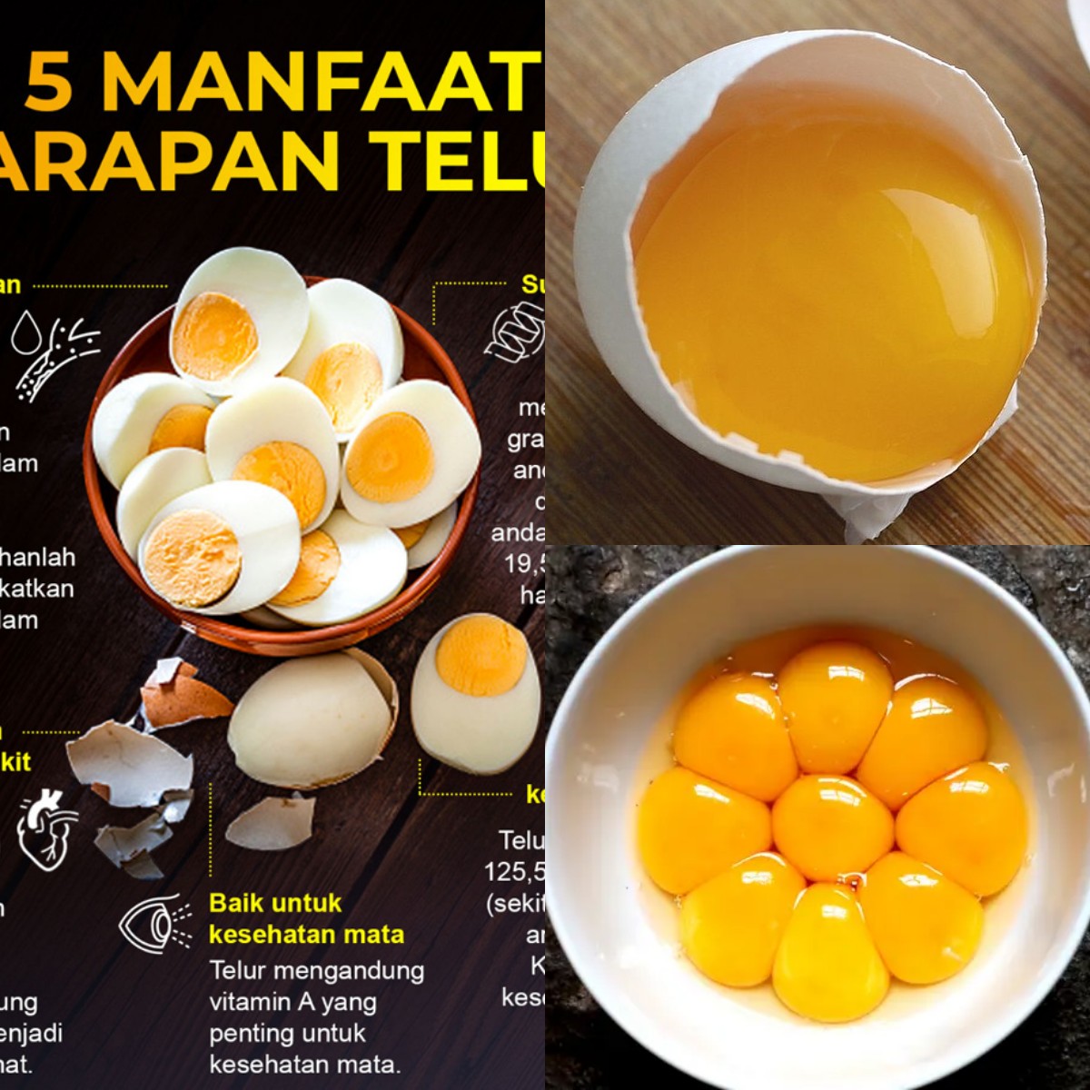 Siapkah Anda Mencoba Kuning Telur untuk Kesehatan? Ini 5 Alasan Mengapa Anda Harus!