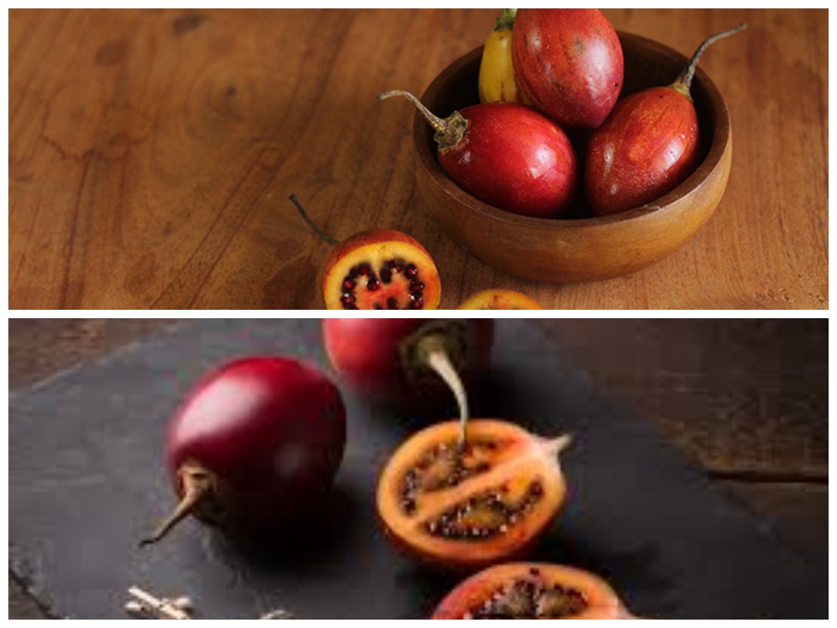 Kaya Vitamin C! Ini Manfaat Luar Biasa Terong Belanda untuk Kesehatan