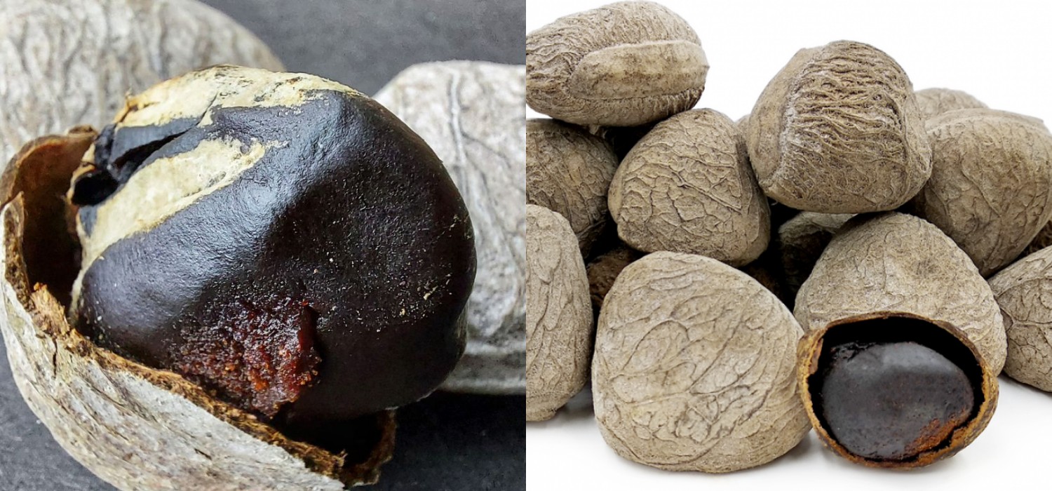 Meningkatkan Nafsu Makan Inilah Manfaat Kluwek Untuk Kesehatan Yang Jarang Diketahui! 