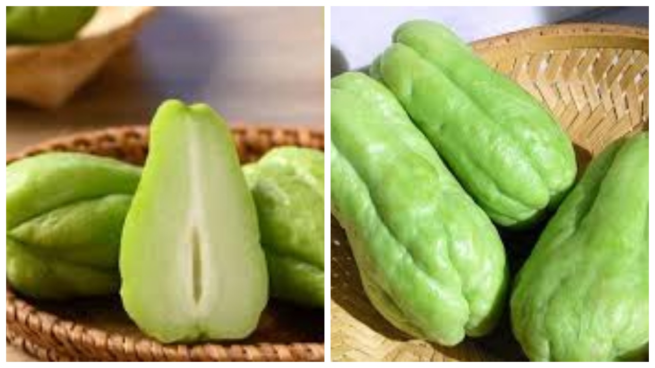  Manfaat Labu Siam untuk Kolesterol hingga Anemia