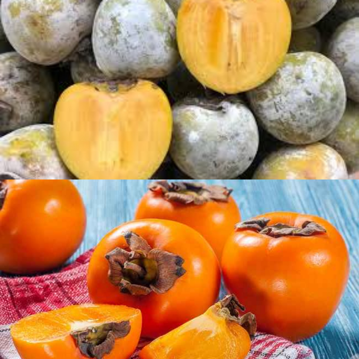  Ini 7 Manfaat Buah Kesemek dan Cara Mengolahnya!