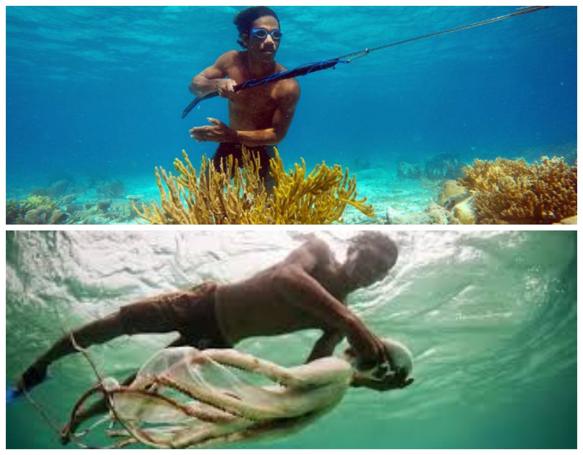 Suku Bajau: Eksplorasi Kehidupan dan Keterampilan Menyelam yang Mengagumkan dari Para Pengembara Laut
