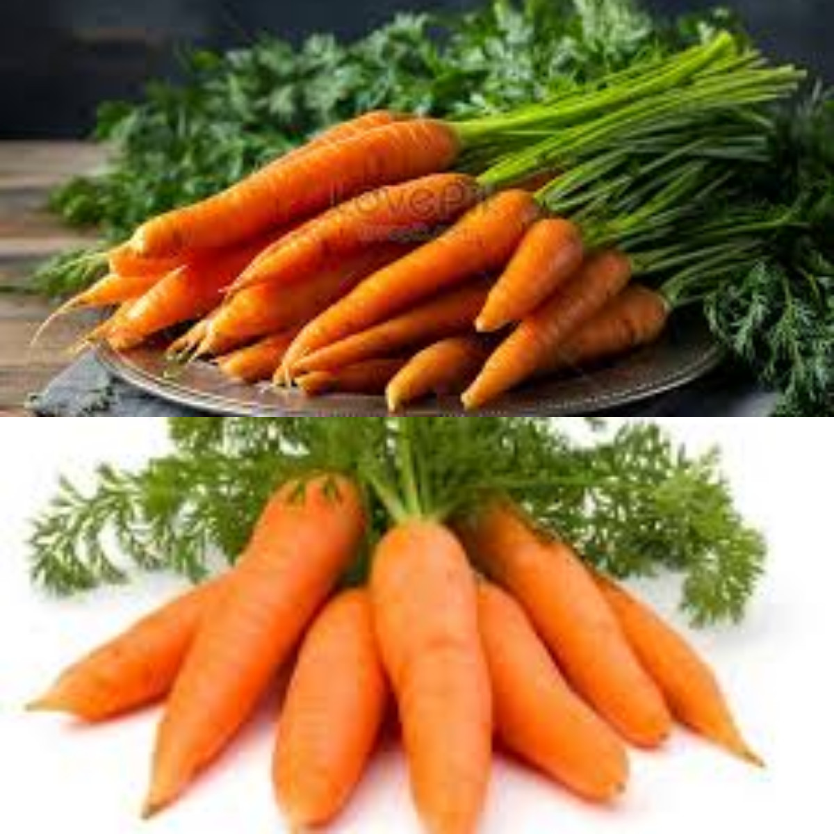 9 Khasiat Wortel untuk Kesehatan dan Nutrisi yang Terkandung!