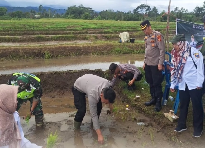 Dukung Gerakan Menanam Padi Serentak Nasional