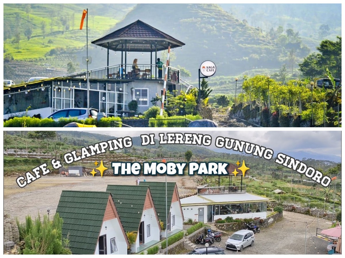 Moby Park Wonosobo, Glamping Seru di Pelukan Keindahan Pegunungan